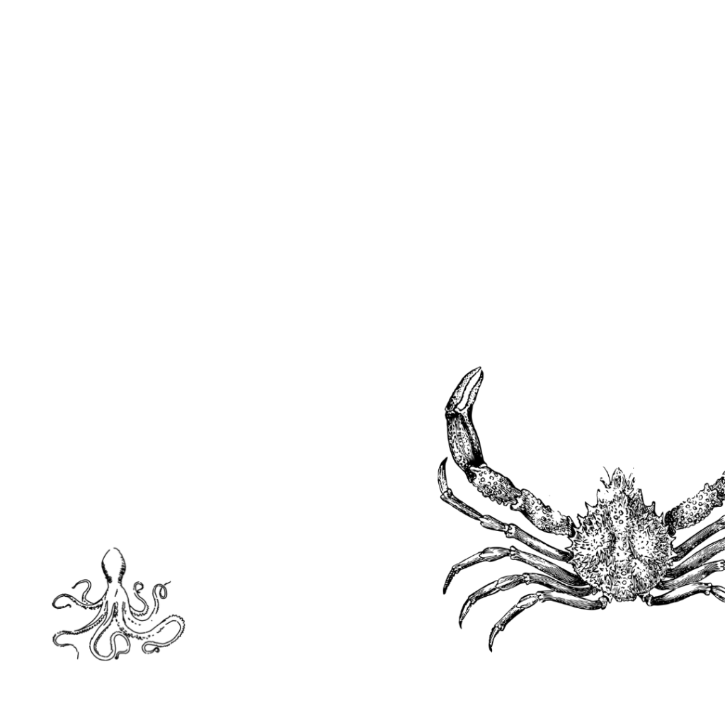 La neurosis infantil del progresismo, por Carlos&nbsp;Quiroga