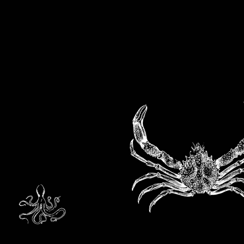 Escribiéndose: dos novelas de Copi sobre la inconsistencia, por Guadalupe&nbsp;Marando