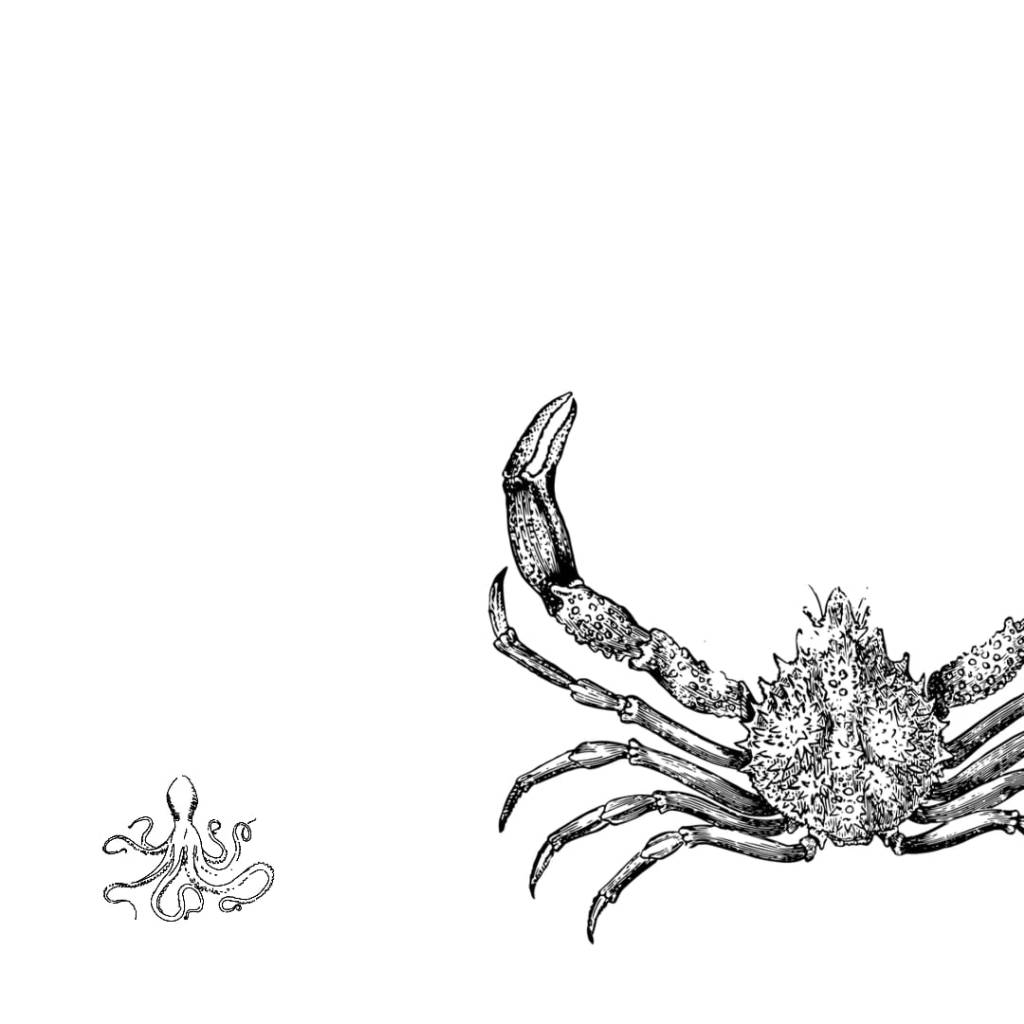 Teoría del robo, una reseña de Tomás&nbsp;Grieco