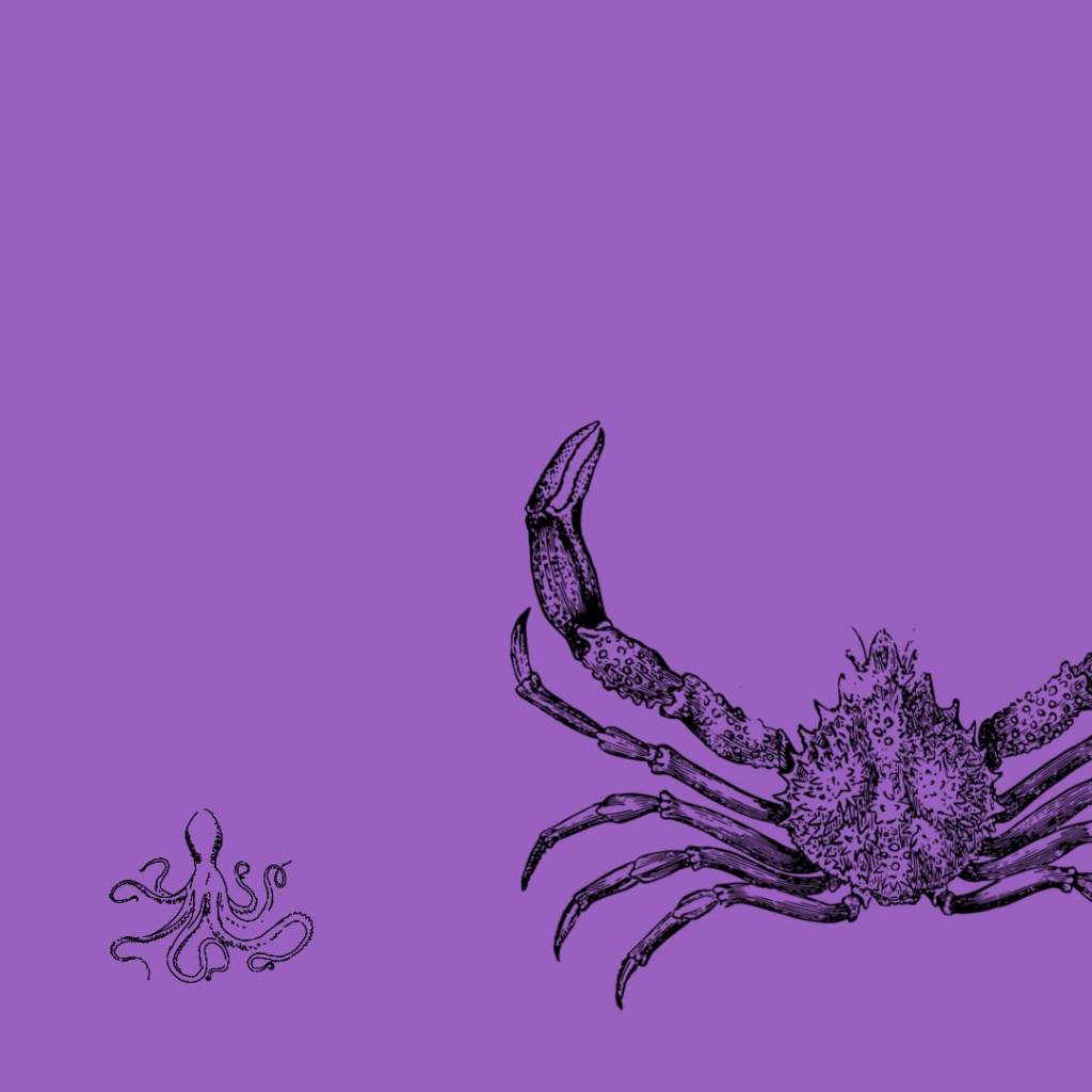 El continuum porfiado del universo, por Guillermo&nbsp;Fernández