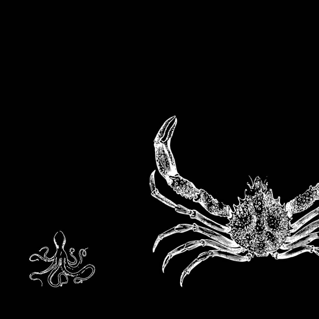 El universo implacable de lo íntimo, una reseña de Javier&nbsp;Núñez