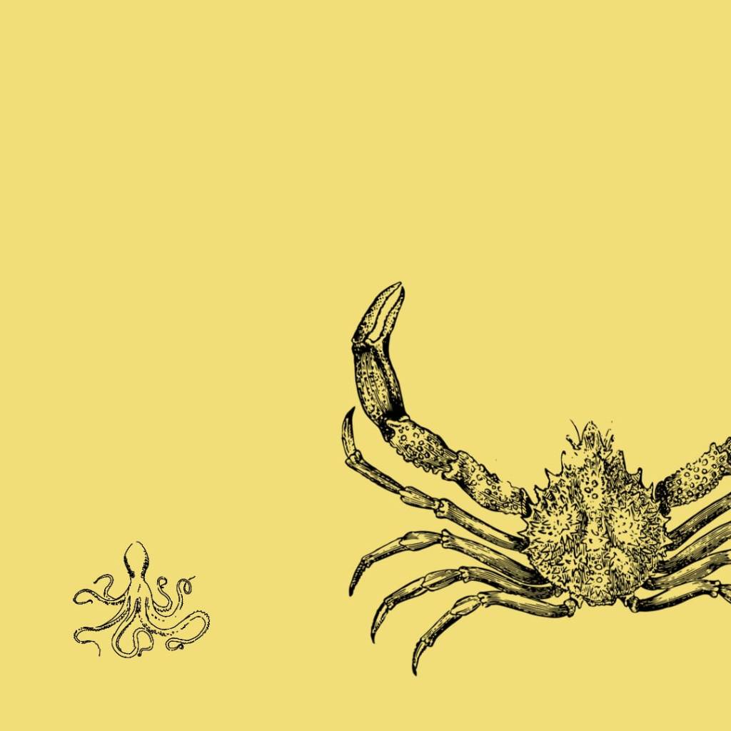 Una introducción al problema de la traducción del psicoanálisis al castellano, por Sol&nbsp;Batista