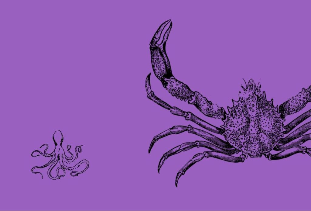 Oscar Masotta, la vía del ensayo en el psicoanálisis del Río de la Plata, por Ernesto&nbsp;Gallo